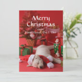 ゴールデン・リトリーバーの子犬およびクリスマス2 シーズンカード (スタンド正面)