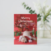 ゴールデン・リトリーバーの子犬およびクリスマス2 シーズンポストカード (スタンド正面)