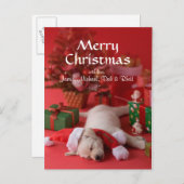 ゴールデン・リトリーバーの子犬およびクリスマス2 シーズンポストカード (正面/裏面)
