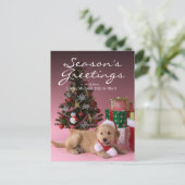 ゴールデン・リトリーバーの子犬およびクリスマス3 シーズンポストカード (スタンド正面)