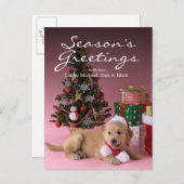 ゴールデン・リトリーバーの子犬およびクリスマス3 シーズンポストカード (正面/裏面)