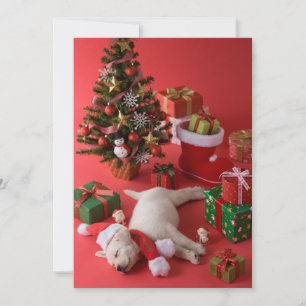 ゴールデン・リトリーバーの子犬およびクリスマス シーズンカード