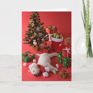 ゴールデン・リトリーバーの子犬およびクリスマス シーズンカード