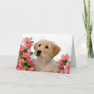 ゴールデン・リトリーバーの子犬およびピンクの花 カード