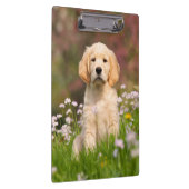 ゴールデン・リトリーバーの子犬かわいいGoldie クリップボード (右)