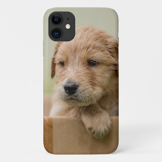 ゴールデン·リトリーバーの子犬が箱に入る Case-Mate iPhoneケース (裏面)