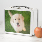 ゴールデン·リトリーバーの子犬が草の上で飼育 メタルランチボックス (インサイチュ)