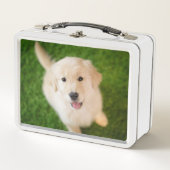 ゴールデン·リトリーバーの子犬が草の上で飼育 メタルランチボックス (正面)