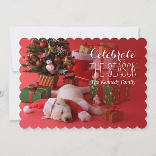 ゴールデン·リトリーバーの子犬とクリスマス 招待状 (正面)