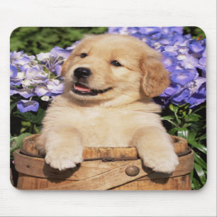 ゴールデン·リトリーバーの子犬のマウスパッドに笑みを マウスパッド