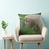 ゴールデン・リトリーバーの子犬 クッション (椅子)