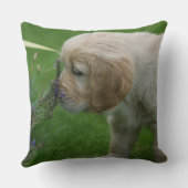 ゴールデン・リトリーバーの子犬 クッション (裏面)