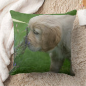 ゴールデン・リトリーバーの子犬 クッション (ブランケット)