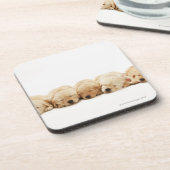 ゴールデン・リトリーバーの子犬 コースター (左側)