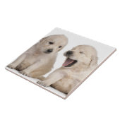 ゴールデン・リトリーバーの子犬 タイル (側面)