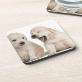 ゴールデン・リトリーバーの子犬(4週古い) コースター (左側)