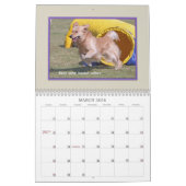 ゴールデン・リトリーバーの敏捷2017年 カレンダー (3月 2026)