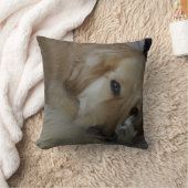 ゴールデン・リトリーバーの枕 クッション (ブランケット)