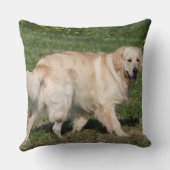 ゴールデン・リトリーバーの歩く クッション (裏面)