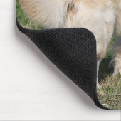 ゴールデン・リトリーバーの歩く マウスパッド (コーナー)