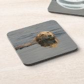 ゴールデン・リトリーバーの水泳 コースター (左側)