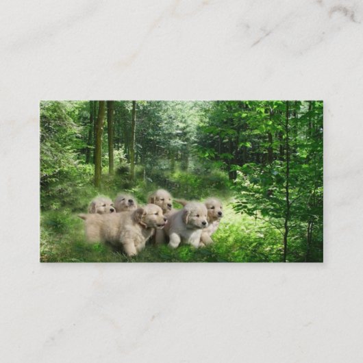 ゴールデン・リトリーバーの繁殖動物の名刺 名刺 (正面)