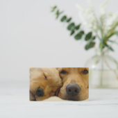 ゴールデン・リトリーバーの繁殖動物の名刺 名刺 (スタンド正面)