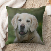 ゴールデン・リトリーバーのHeadshot 2 クッション (ブランケット)
