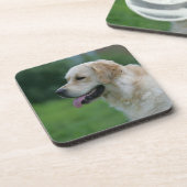 ゴールデン・リトリーバーのHeadshot 2 2 コースター (左側)
