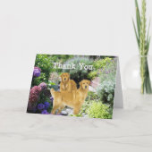 ゴールデン・リトリーバーは相棒カード感謝していしています サンキューカード (正面)