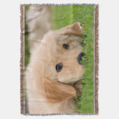 ゴールデン・リトリーバー夢を見ているかわいい犬の子犬静かに スローブランケット (正面縦)