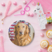 ゴールデン・リトリーバー犬のポートレート ペーパープレート (パーティー)