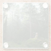 ゴールデン・リトリーバー犬|のマツ森林 ガラスコースター (裏面)