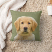 ゴールデン・リトリーバー犬 クッション (ブランケット)
