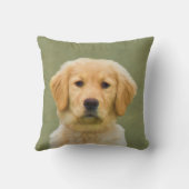 ゴールデン・リトリーバー犬 クッション (裏面)
