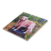 ゴールデン・リトリーバー タイル (側面)