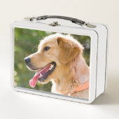 ゴールデン·リトリーバー·プロファイル（舌が出る） メタルランチボックス (正面)