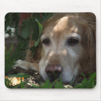 ゴールデン・リトリーバー マウスパッド