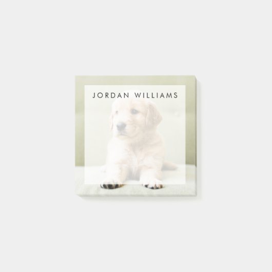 ゴールデン·リトリーバー·ワンちゃんが長椅子に ポストイット (正面)