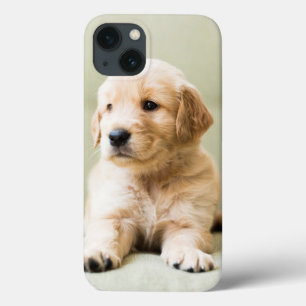 ゴールデン·リトリーバー·ワンちゃんが長椅子に iPhone 13ケース