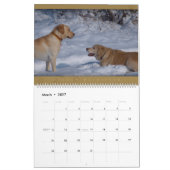 ゴールデン・リトリーバー-壁掛けカレンダー2010年 カレンダー (3月 2027)