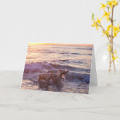 ゴールデン·レトリバー空白の·フォト·グリーティング·カード カード (黄色い花)