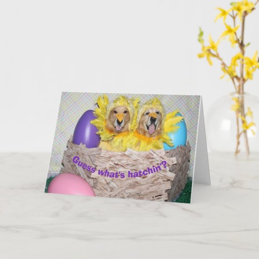 ゴールデン・レトリバーHatchin'イースターとは カード (黄色い花)