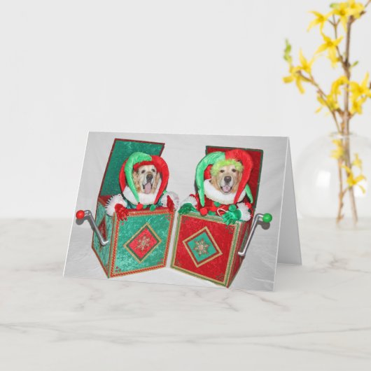 ゴールデン·レトリーバー·ジャックが箱の中のクリスマス カード (黄色い花)