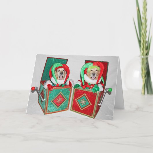 ゴールデン·レトリーバー·ジャックが箱の中のクリスマス カード (正面)