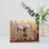 ゴールデン・レトリーバー ポストカード (スタンド正面)