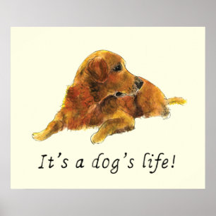 ゴールデン・レトリ絵画ーバーのおもしろい犬のスローガン・ユーモア ポスター