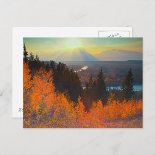 ゴールデン《植物》アスペンズアブオブスネークリバーアットサンセット ポストカード (正面/裏面)