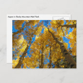 ゴールデン《植物》アスペンニアエステスパークコロラドハガキ ポストカード (正面/裏面)