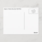 ゴールデン《植物》アスペンニアエステスパークコロラドハガキ ポストカード (裏面)